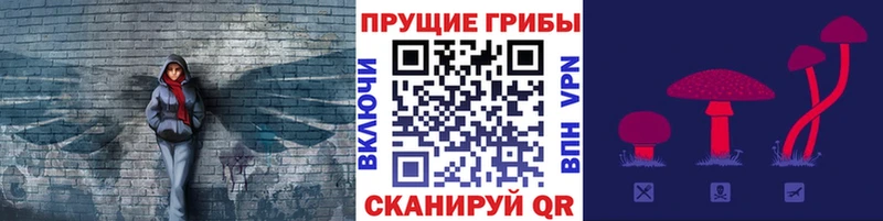 Купить  Феодосия  Галлюциногенные грибы ЛСД 